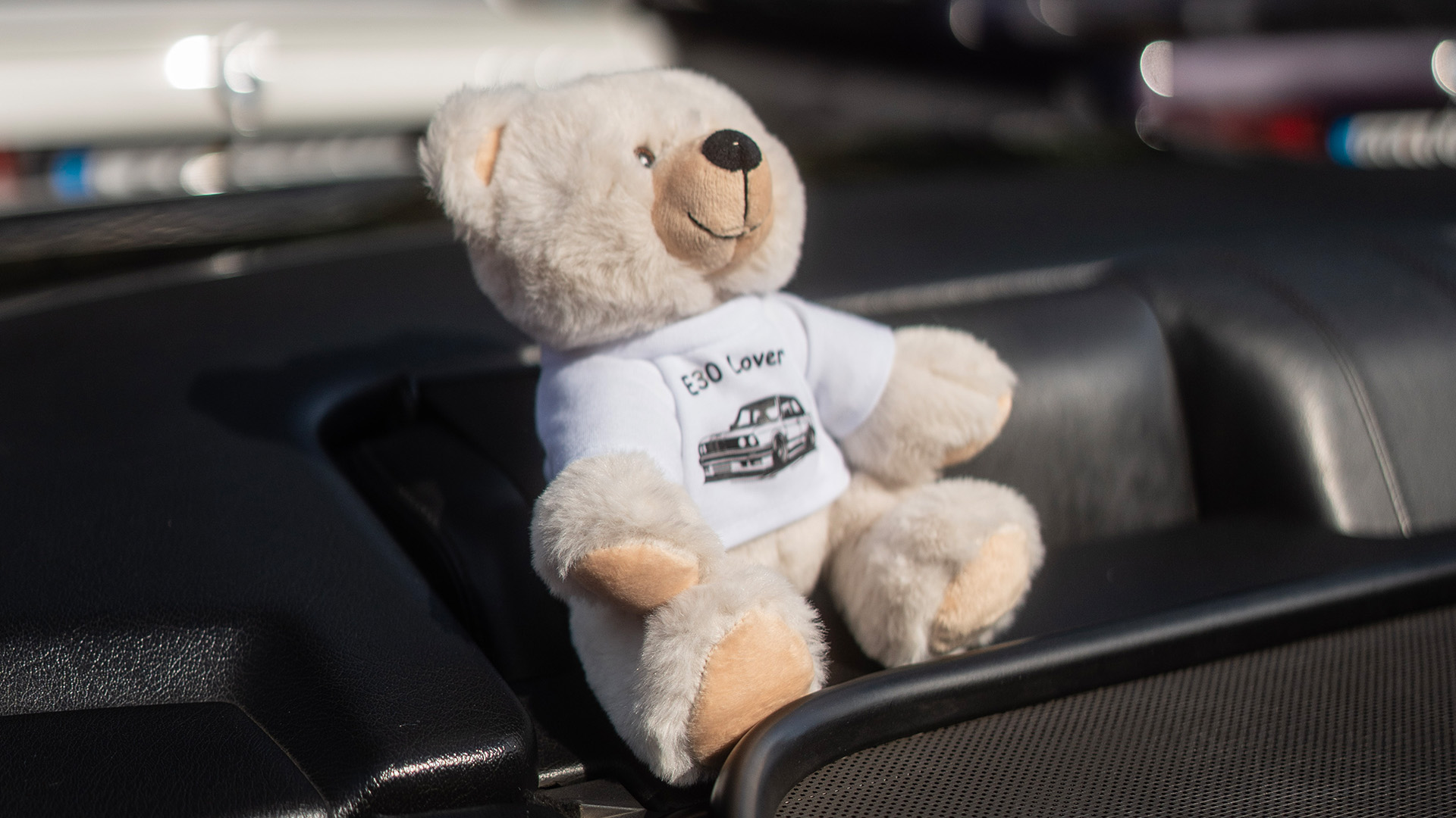 Teddy beim E30 Freunde Treffen